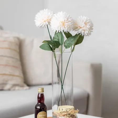 Apartamento Aja